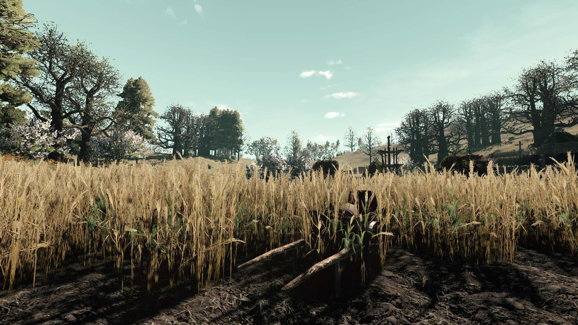 Survival